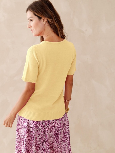 Pull manches courtes encolure ronde