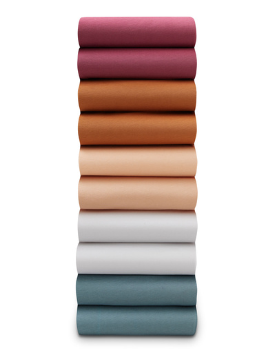 Culotte pur coton lot de 10 - Daxon - 