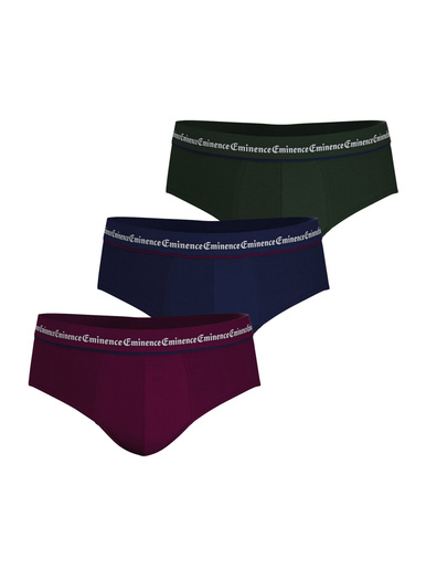 Lot de 3 slips Business