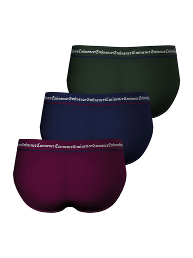 Lot de 3 slips Business