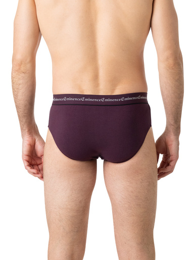 Lot de 3 slips Business