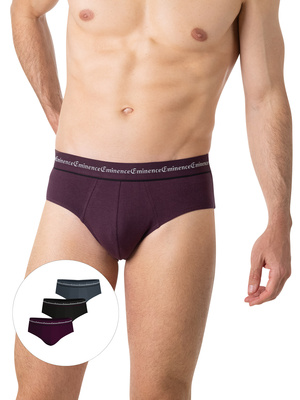 Lot de 3 slips Business