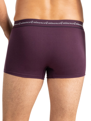 Lot de 3 boxers Business