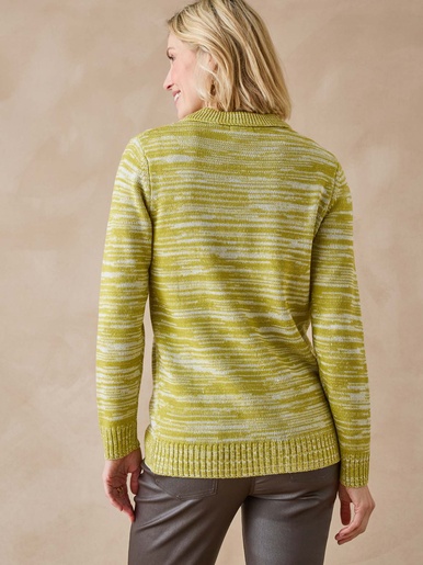 Pull col polo - Daxon - Chiné vert