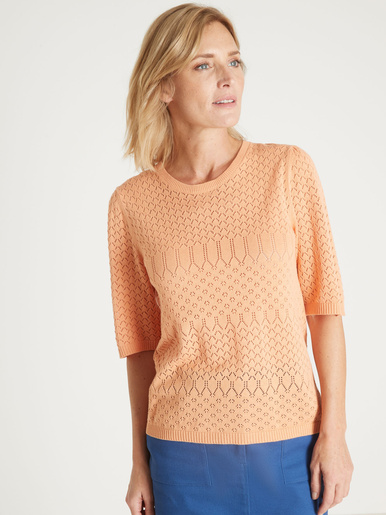 Pull manches au coude - Daxon - Melon