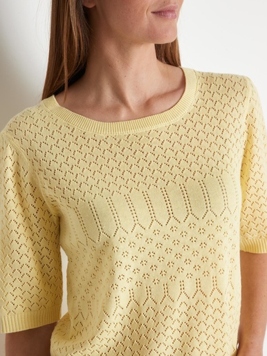 Pull manches au coude - Daxon - 