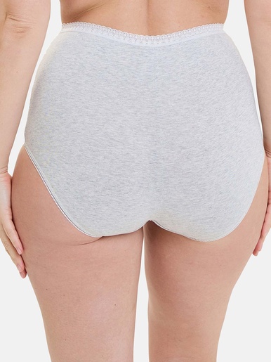 Lot de 2 culottes hautes Classique Coton