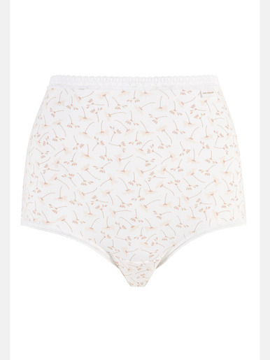 Lot de 2 culottes hautes Classique Coton