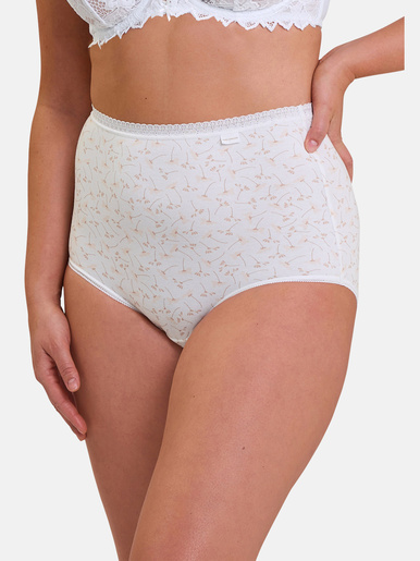 Lot de 2 culottes hautes Classique Coton