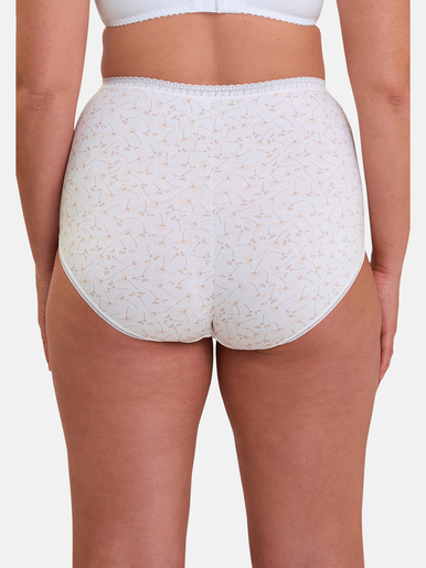 Lot de 2 culottes hautes Classique Coton