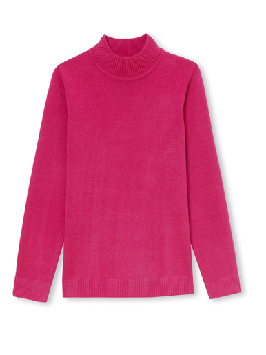 Pull col montant manches longues