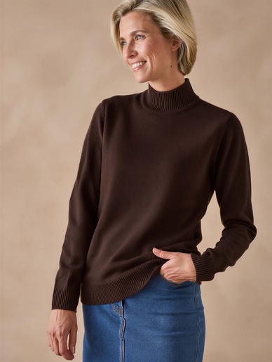 Pull col montant manches longues