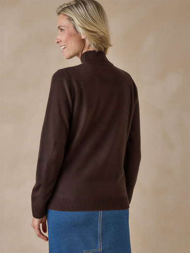 Pull col montant manches longues