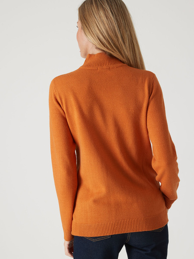 Pull col montant manches longues - Daxon - 