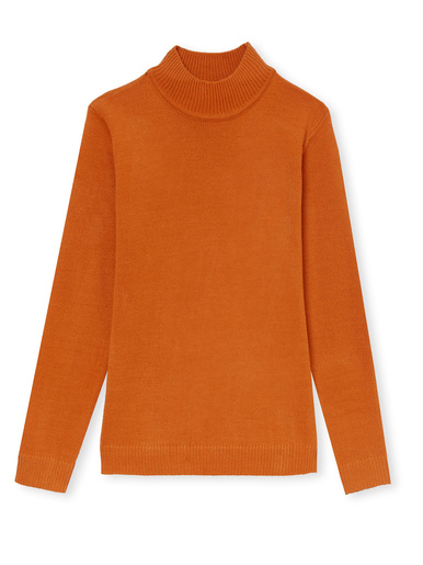 Pull col montant manches longues - Daxon - 