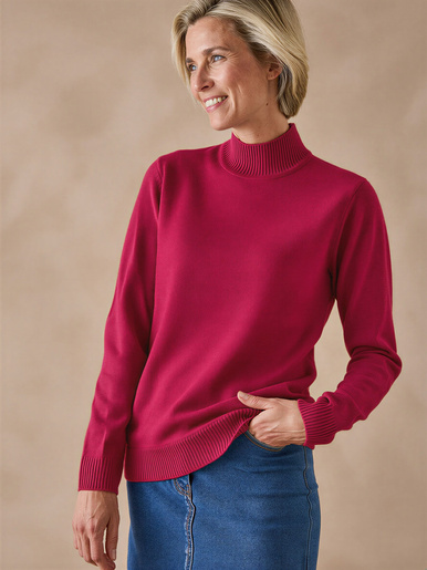 Pull col montant manches longues