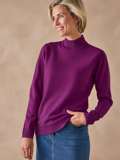 Pull col montant manches longues