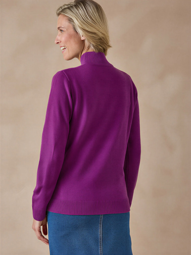 Pull col montant manches longues