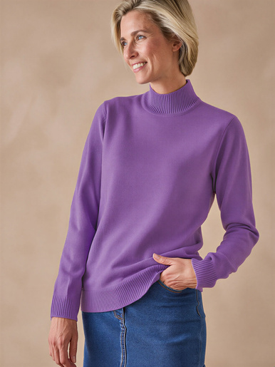 Pull col montant manches longues
