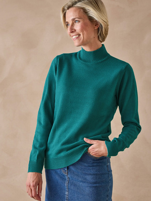 Pull col montant manches longues