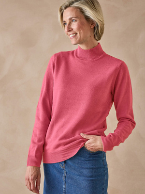 Pull col montant manches longues