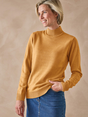 Pull col montant manches longues