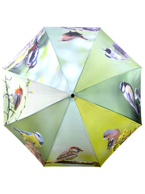 Parapluie fantaisie motifs oiseaux