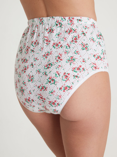 Lot de 4 culottes montantes fantaisie