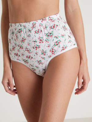 Lot de 4 culottes montantes fantaisie