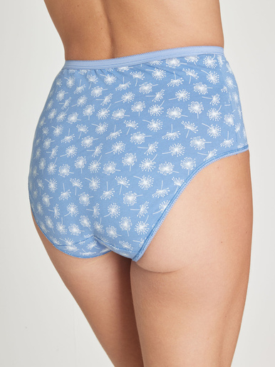 Lot de 4 culottes en pur coton