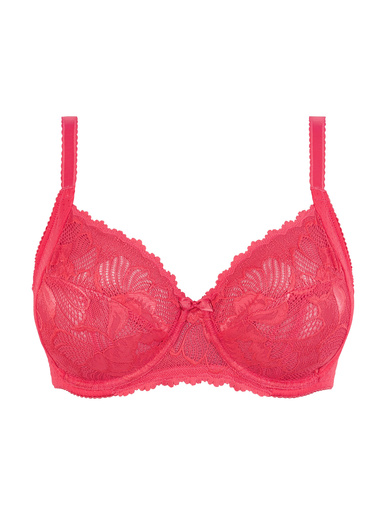 Sans Complexe Damen Capucine Slips – Mit Tüll Für Flachen Bauch & Blumen-Spitze