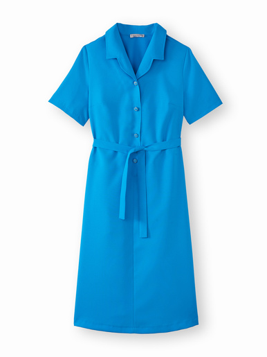 Robe classique col tailleur