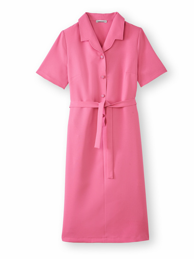 Robe classique col tailleur