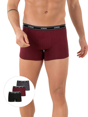 Lot de 3 boxers fermés