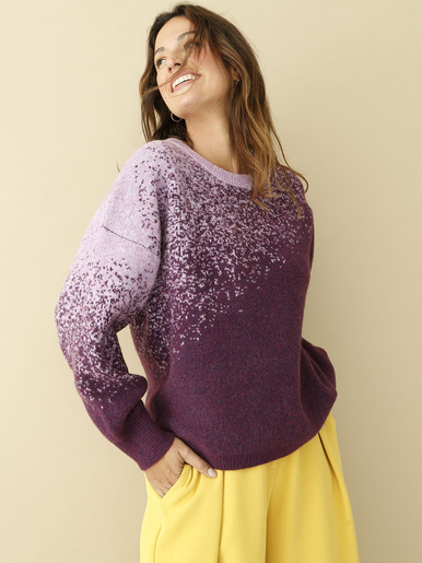 Pull jacquard intarsia - Daxon - Multicolore