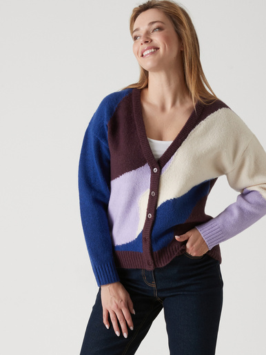GIlet V colorblock