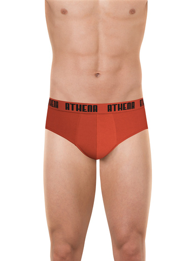 Lot de 3 slips coton stretch