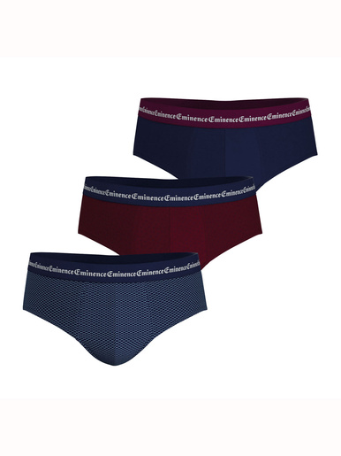 Lot de 3 slips homme Business Print