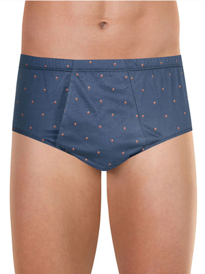 Lot de 2 slips pur coton