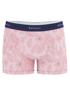 Boxer TAILOR