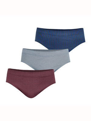 Lot de 3 slips taille basse COLLECTION