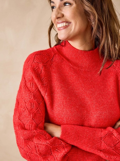 Pull col montant manches fantaisie