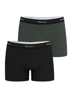 Lot de 2 boxers Tailor bio