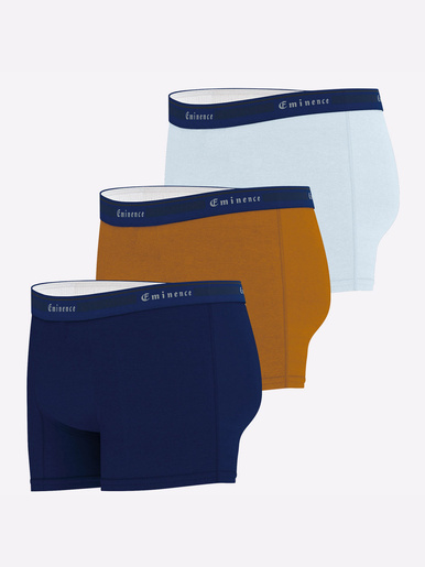 Lot de 3 boxers Taylor