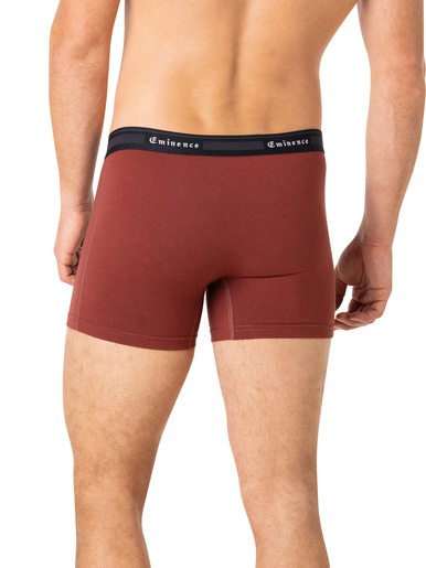 Lot de 3 boxers Taylor