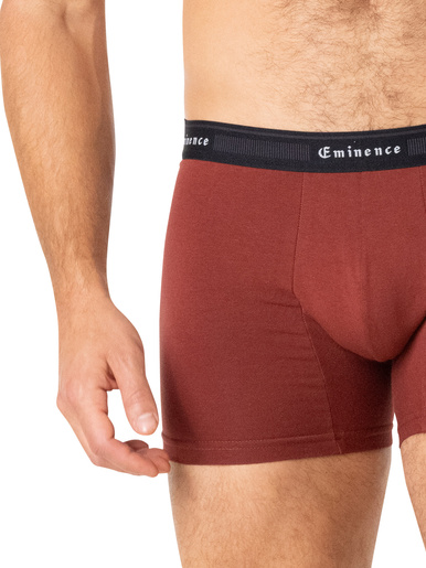 Lot de 3 boxers Taylor