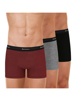 Lot de 3 boxers Taylor