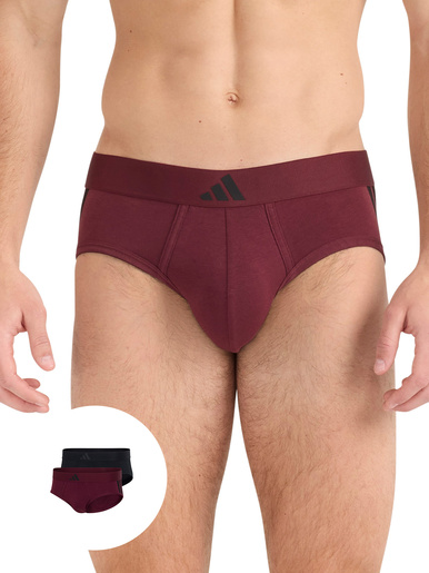 Lot de 2 slips Active Flex Cotton