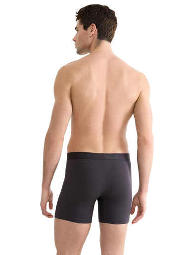 Lot de 2 caleçons SLG Base